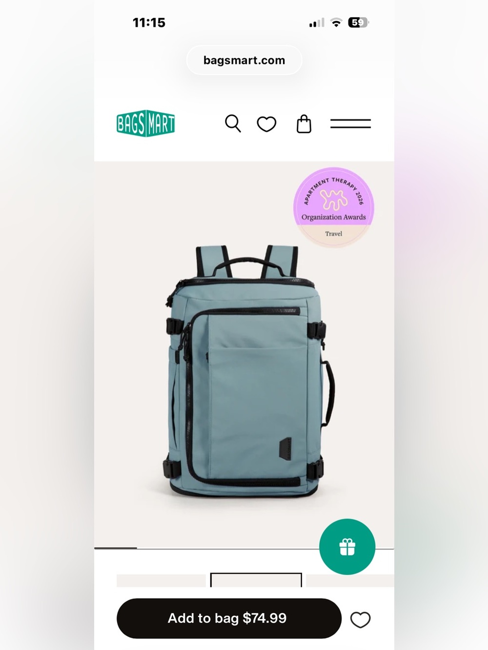 Bagsmart Coastal Blue Travel Convertible Backpack